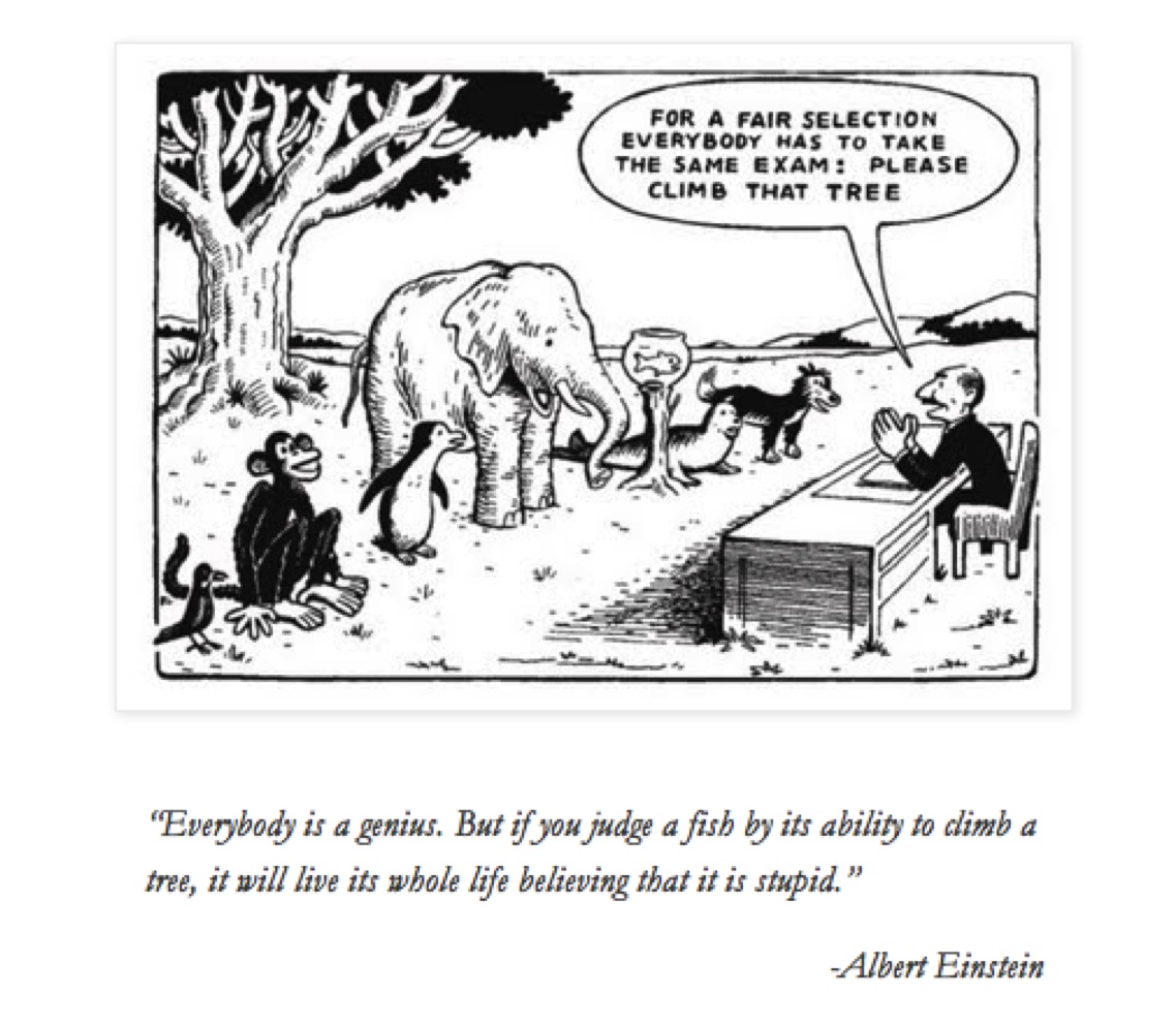 Einstein Exam Cartoon